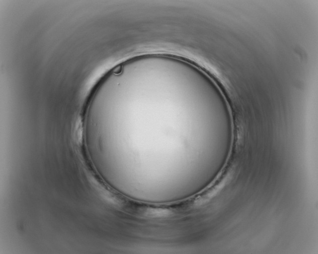 X0000113041509200909101907