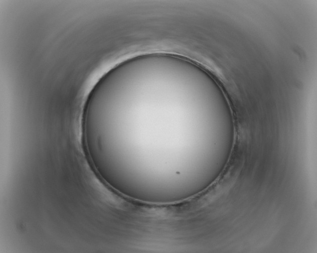 X0000113041512200909101907