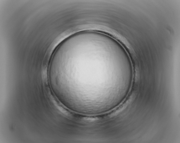 X0000113041513200909101907