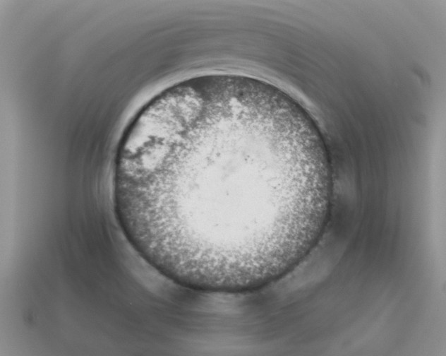 X0000113041514200909101907