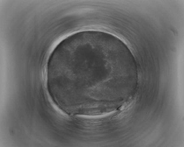 X0000113041515200909101907