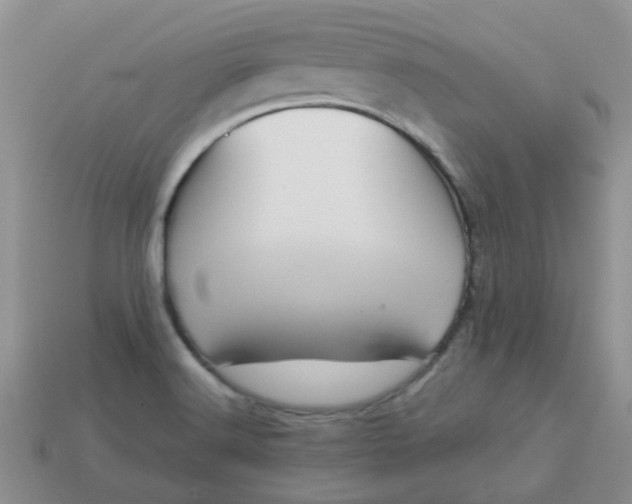 X0000113041516200909101907