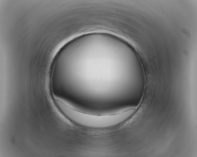 X0000113041518200909101907