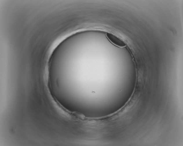 X0000113041520200909101907