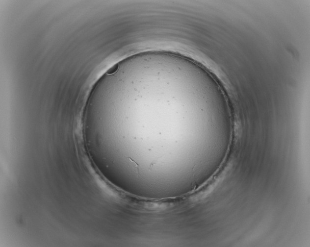 X0000113041521200909101908