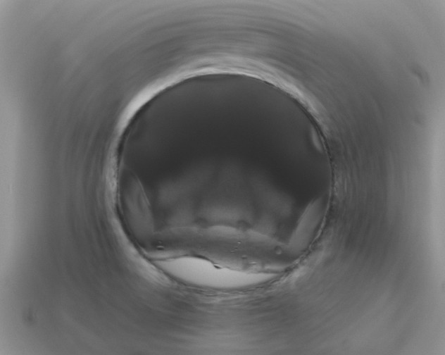 X0000113041522200909101908