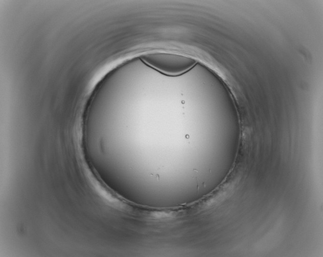 X0000113041523200909101908