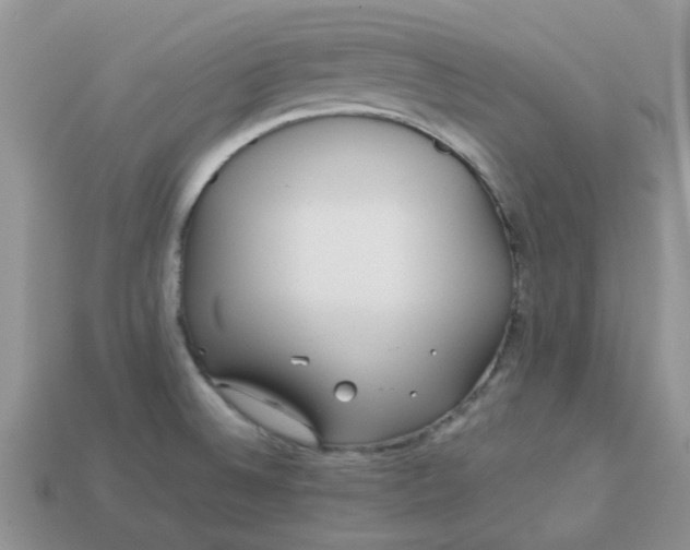 X0000113041524200909101908