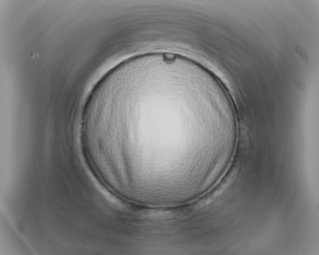 X0000113041525200909101908
