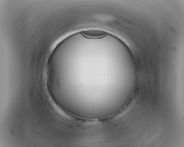 X0000113041526200909101908
