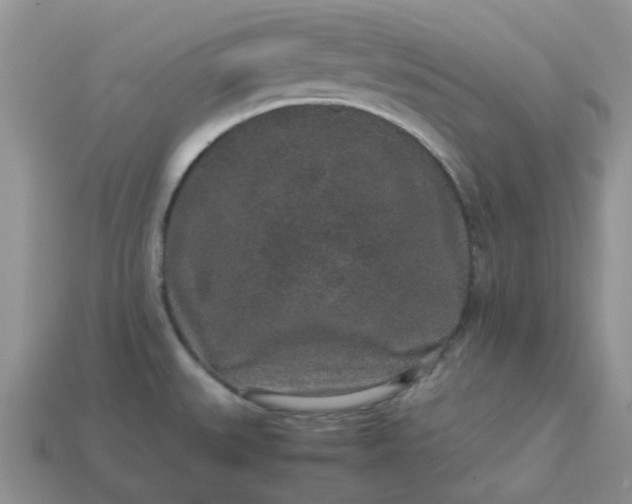 X0000113041527200909101908