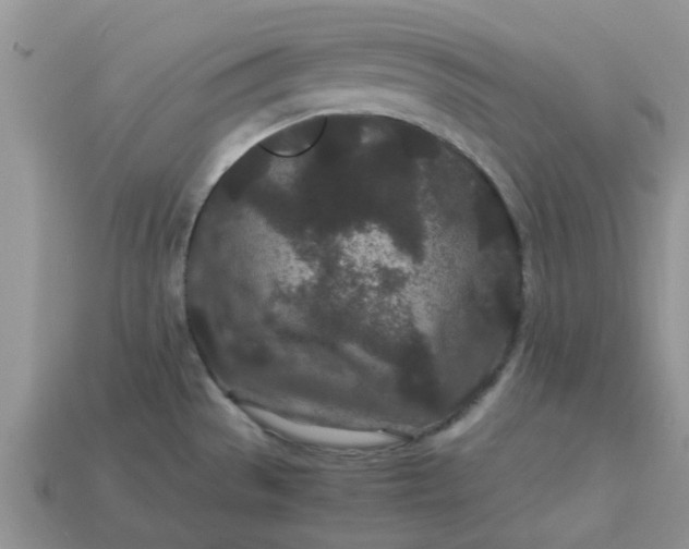 X0000113041529200909101908