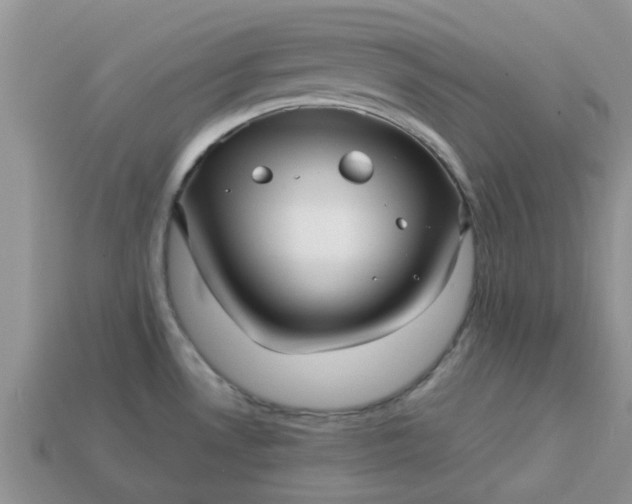 X0000113041530200909101908