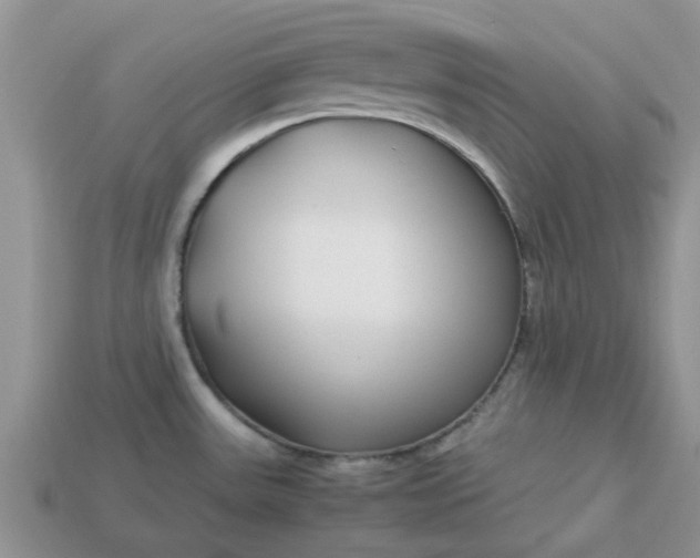 X0000113041531200909101908