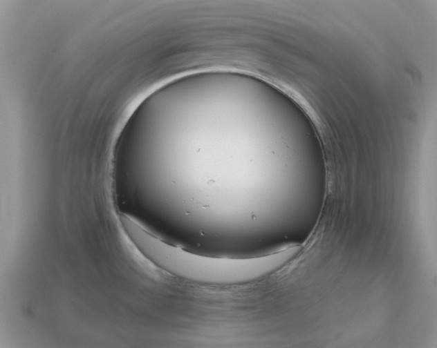 X0000113041532200909101908