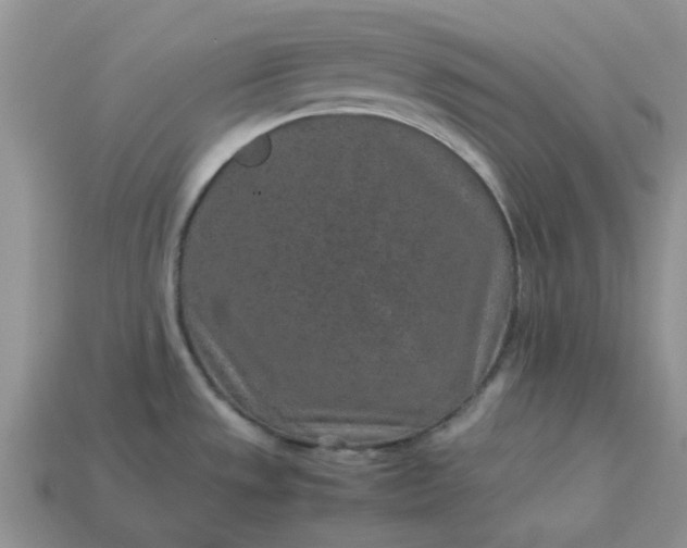 X0000113041533200909101908