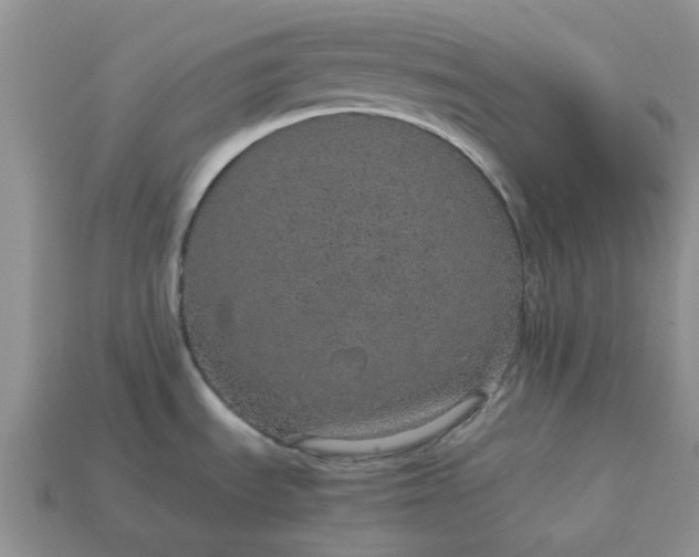 X0000113041535200909101908