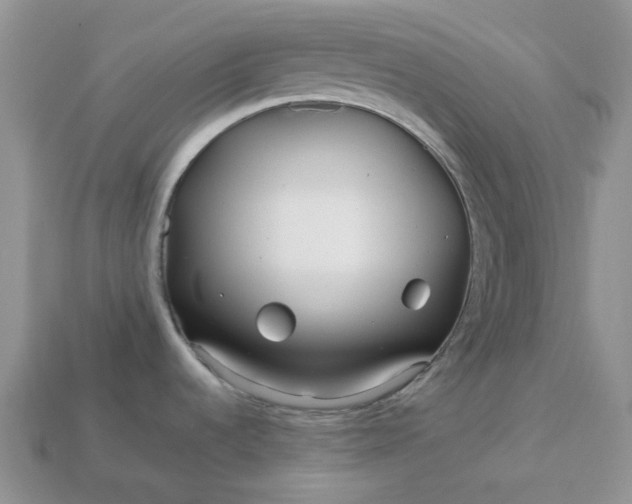 X0000113041536200909101908