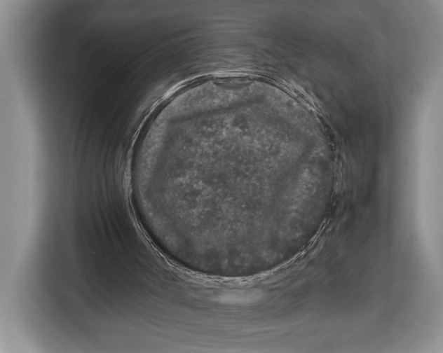 X0000113040002200909171530