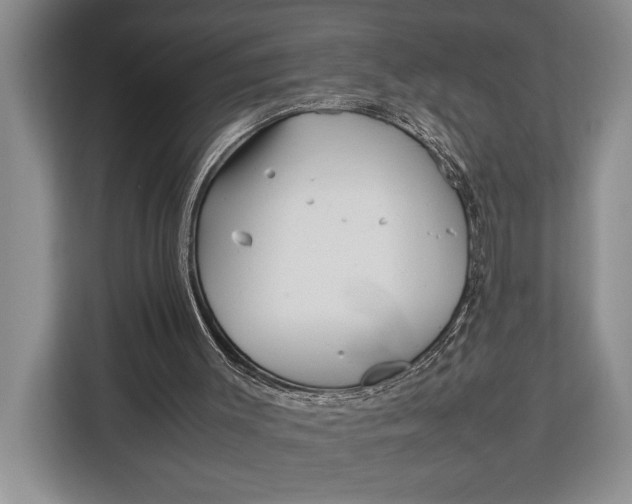 X0000113040003200909171530