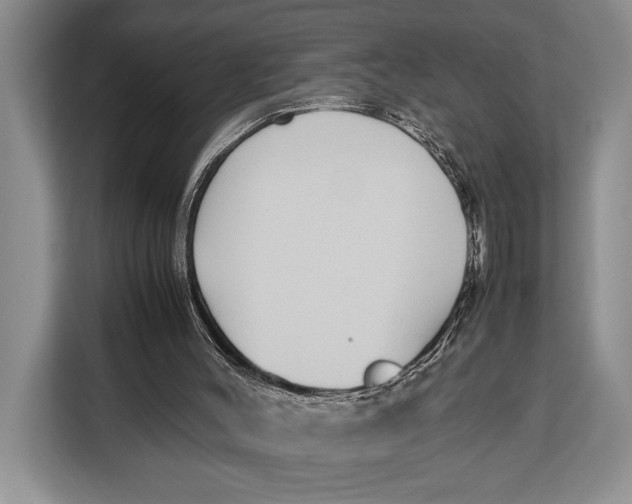 X0000113040004200909171530