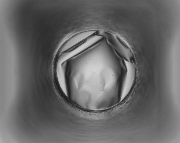 X0000113040008200909171530