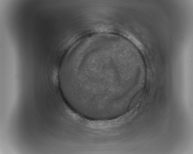 X0000113040009200909171530