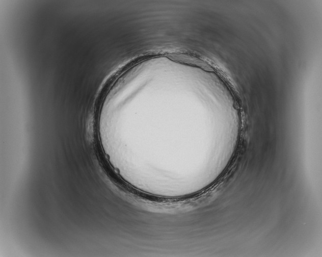 X0000113040012200909171530