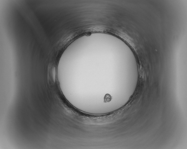 X0000113040013200909171530