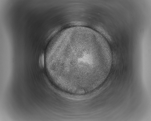 X0000113040014200909171530