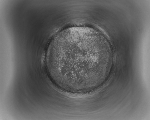 X0000113040018200909171530