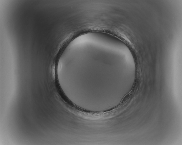 X0000113040019200909171530