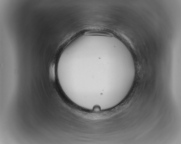 X0000113040020200909171530