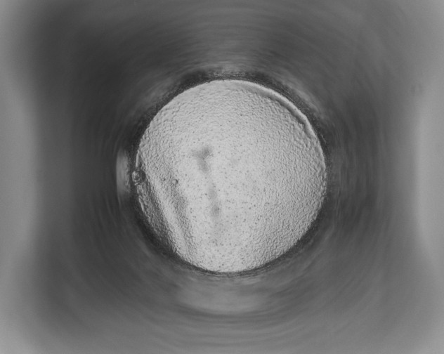 X0000113040022200909171530