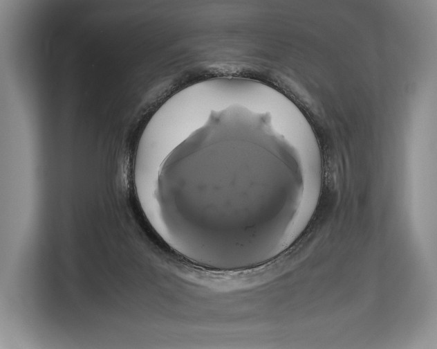 X0000113040023200909171530