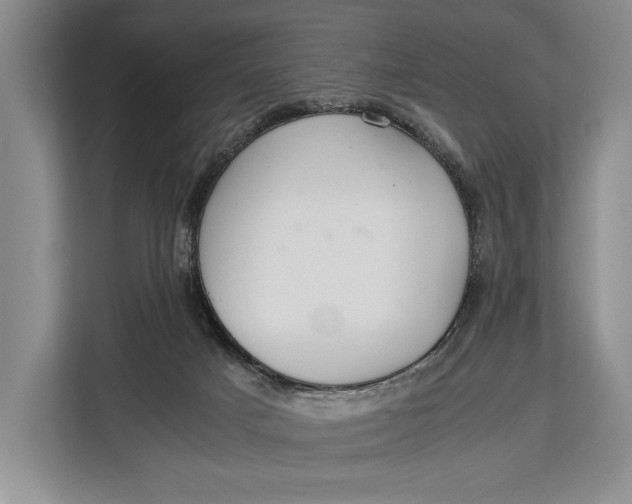X0000113040025200909171530