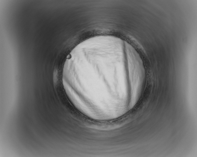 X0000113040026200909171530