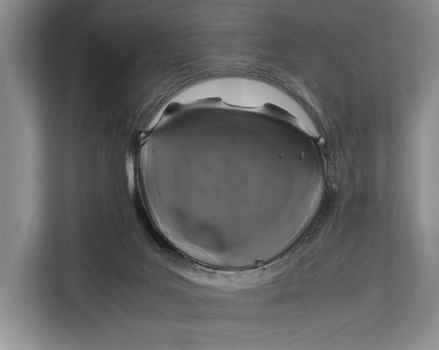 X0000113040027200909171530