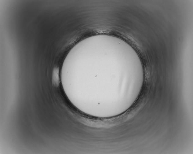 X0000113040028200909171530