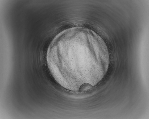 X0000113040030200909171530