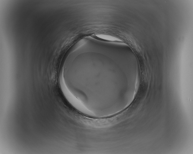 X0000113040031200909171530