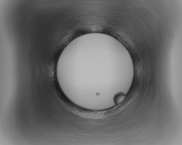 X0000113040032200909171530