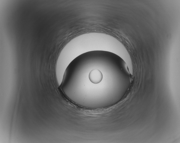 X0000113040033200909171530