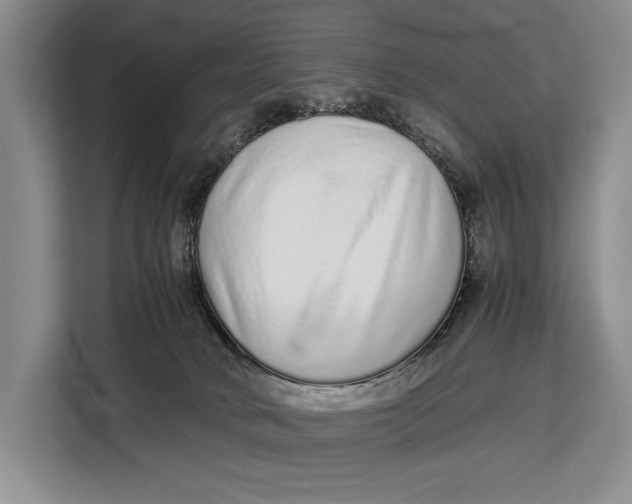 X0000113040034200909171530