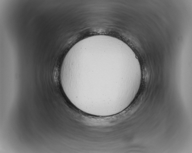 X0000113040036200909171530