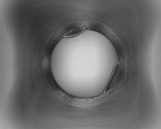 X0000113040037200909171530