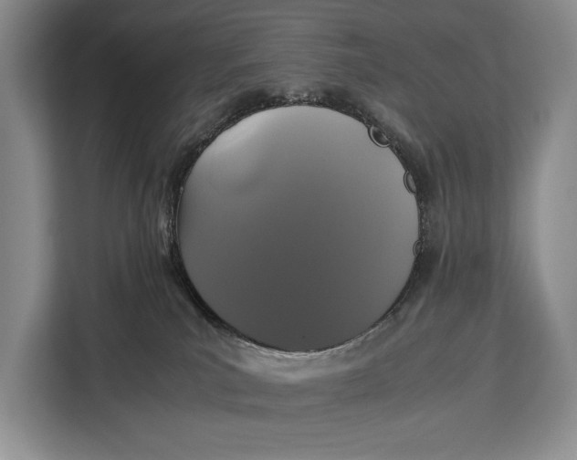 X0000113040039200909171530