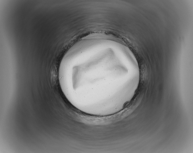 X0000113040040200909171530