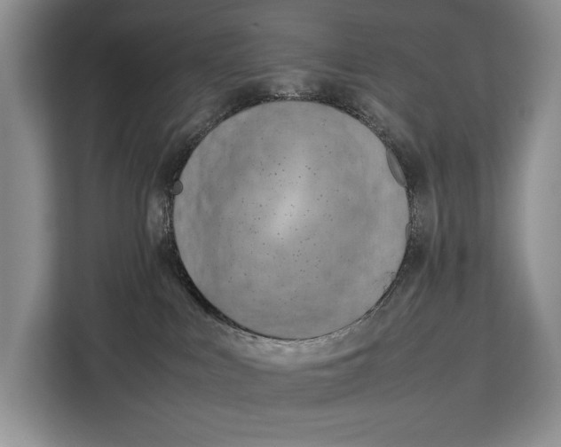 X0000113040043200909171530