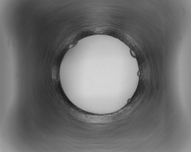 X0000113040044200909171530